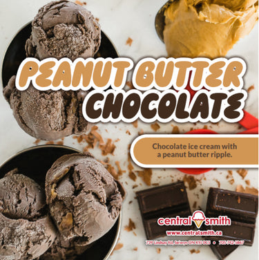 Image of COM: Ice Cream Peanut Butter Chocolate - 1 x 11.4 l